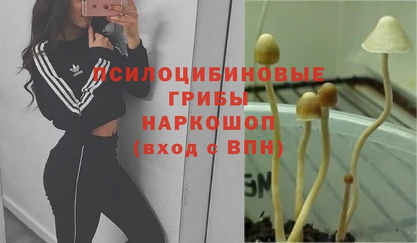 метадон Алексеевка