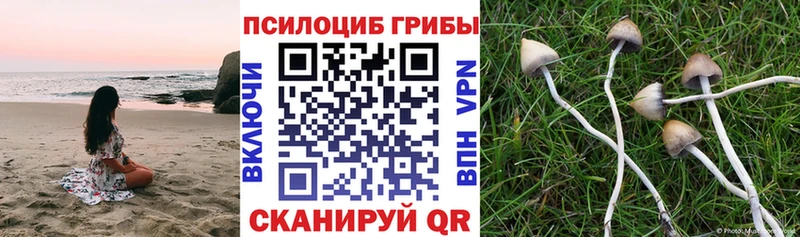 купить наркоту  Микунь  блэк спрут как войти  Галлюциногенные грибы Magic Shrooms 